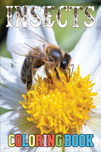 Insect Coloring Book