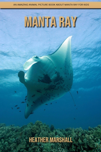 Manta Ray