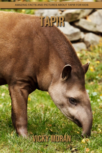 Tapir