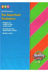 Reading 2007 Ten Important Sentences Grade 1