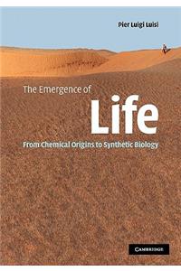 The Emergence of Life