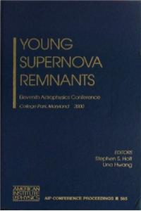 Young Supernova Remnants