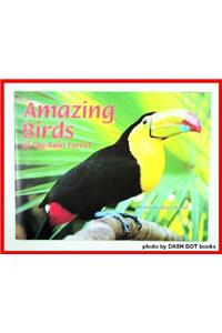 Steck-Vaughn Pair-It Books Transition 2-3: Leveled Reader Amazing Birds of the Rain Forest, Rain Forest Birds