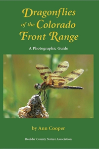 Dragonflies of the Colorado Front Range