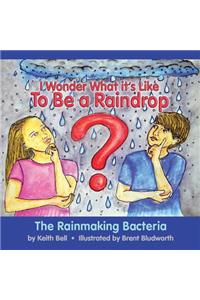 I Wonder What it's Like To Be a Raindrop