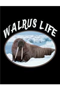 Walrus Life