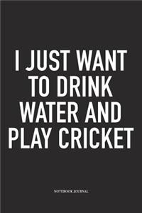 I Just Want to Drink Water and Play Cricket