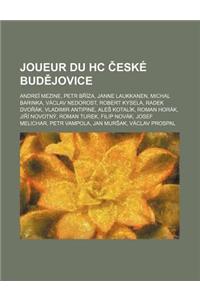 Joueur Du Hc Eske Bud Jovice