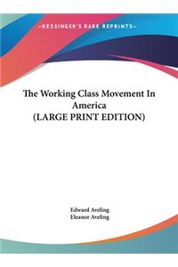 The Working Class Movement in America