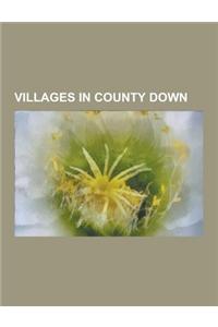 Villages in County Down: Loughbrickland, Rathfriland, Saintfield, Portavogie, Crossgar, Ballykinler, Rostrevor, Castlewellan, Killough, Millisl