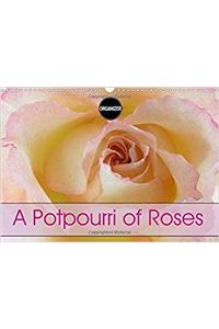 A Potpourri of Roses 2017