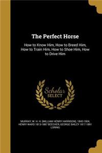 The Perfect Horse