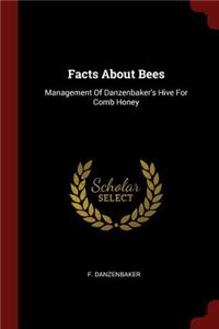 Facts about Bees