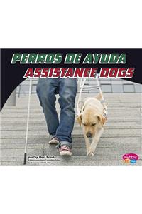 Perros de Ayuda/Assistance Dogs