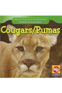 Cougars / Puma