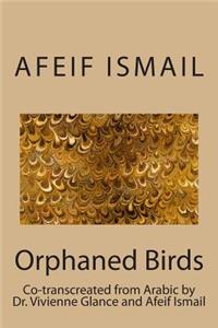 Orphaned Birds