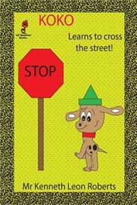 Koko - Learns to Cross the Street!