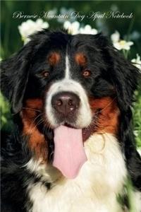 Bernese Mountain Dog April Notebook Bernese Mountain Dog Record, Log, Diary, Special Memories, To Do List, Academic Notepad, Scrapbook & More