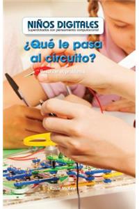¿Qué Le Pasa Al Circuito? Resolver El Problema (What's Wrong with the Circuit?: Fixing the Problem)