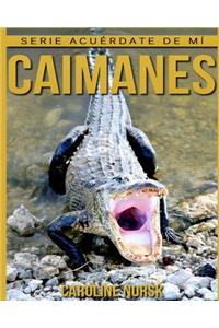 Caimanes