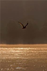 A Solitary Bird Soaring Over a Golden Lake at Sunrise Nature Journal