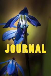 Spring Flower Journal