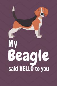 My Beagle said HELLO to you