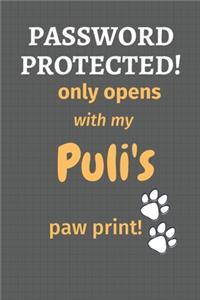 Password Protected! only opens with my Puli's paw print!