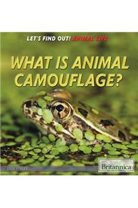 What Is Animal Camouflage?