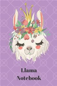 llama notebook