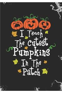 I Teach The Cutest Pumpkins In The Patch