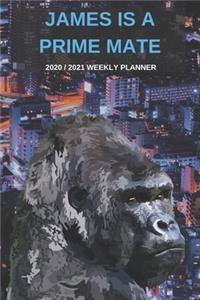 2020 / 2021 Two Year Weekly Planner For James Name - Funny Gorilla Pun Appointment Book Gift - Two-Year Agenda Notebook