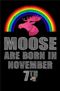 Moose Are Born In November 7th