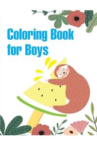 Coloring Book for Boys