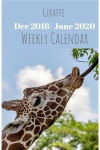 Giraffe Weekly Calendar