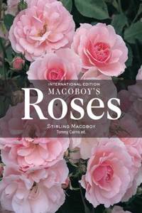 Macoboy's Roses