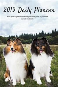 2019 Daily Planner Plan Your Days This Calendar Year with Goals to Gain and Work to Maintain.