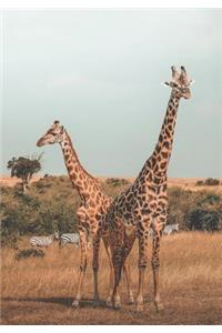 2019 Appointment Calendar: 2019 Daily Planner Goal Planner Two Giraffes