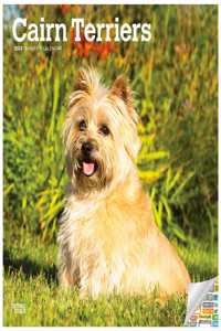 Cairn Terriers 2022 Square