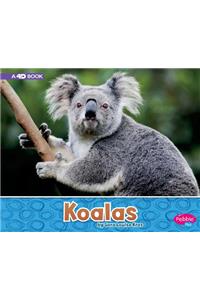 Koalas