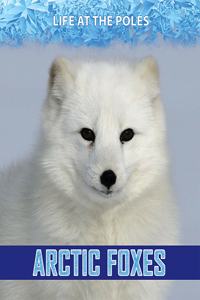 Arctic Foxes