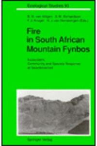 Fire in South African Mountain Fynbos