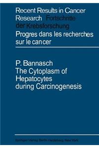 Cytoplasm of Hepatocytes During Carcinogenesis