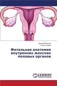 Fetal'naya Anatomiya Vnutrennikh Zhenskikh Polovykh Organov