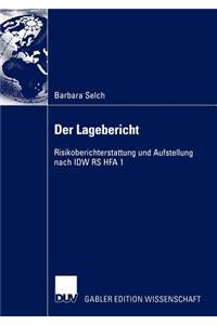 Der Lagebericht: Risikoberichterstattung Und Aufstellung Nach IDW RS Hfa 1