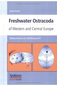 Sa1/4awasserfauna Von Mitteleuropa, Bd. 08/3: Crustacea: Ostracoda