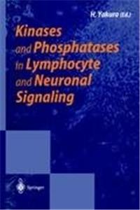 Kinases and Phosphatases in Lymphocyte and Neuronal Signaling