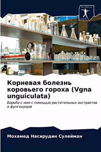 Корневая болезнь коровьего гороха (Vgna unguiculata)