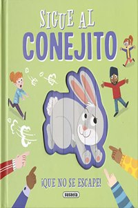 Conejito Sigue