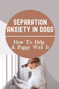 Separation Anxiety In Dogs